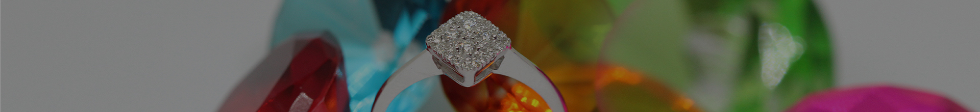 Silver Palace Collections